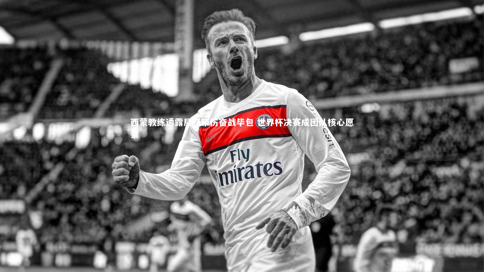 西蒙教练透露尼科带伤奋战毕包 世界杯决赛成团队核心愿景